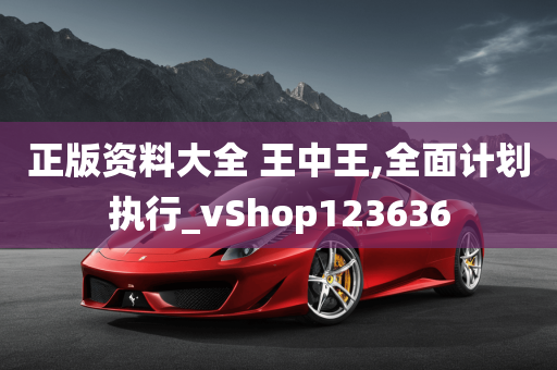 正版资料大全 王中王,全面计划执行_vShop123636