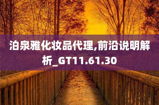 泊泉雅化妆品代理,前沿说明解析_GT11.61.30