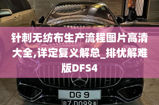 针刺无纺布生产流程图片高清大全,详定复义解总_排忧解难版DFS4