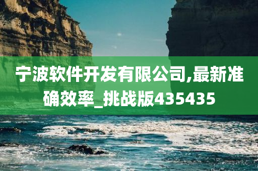 宁波软件开发有限公司,最新准确效率_挑战版435435