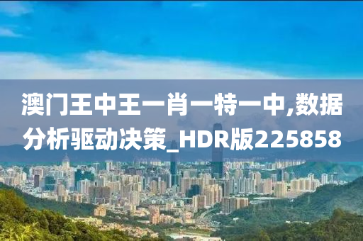 澳门王中王一肖一特一中,数据分析驱动决策_HDR版225858