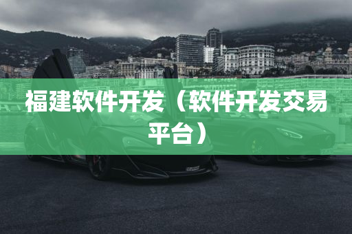 福建软件开发（软件开发交易平台）