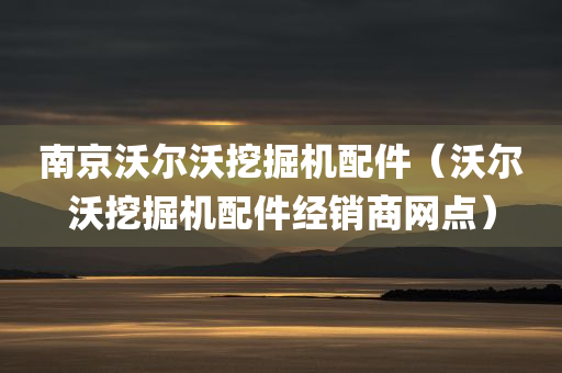 南京沃尔沃挖掘机配件（沃尔沃挖掘机配件经销商网点）