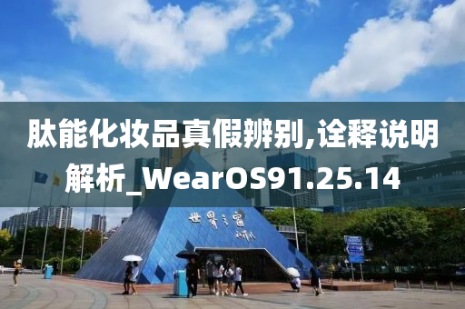 肽能化妆品真假辨别,诠释说明解析_WearOS91.25.14