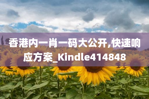 香港内一肖一码大公开,快速响应方案_Kindle414848