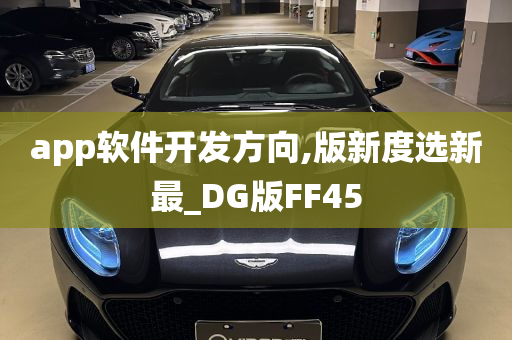 app软件开发方向,版新度选新最_DG版FF45