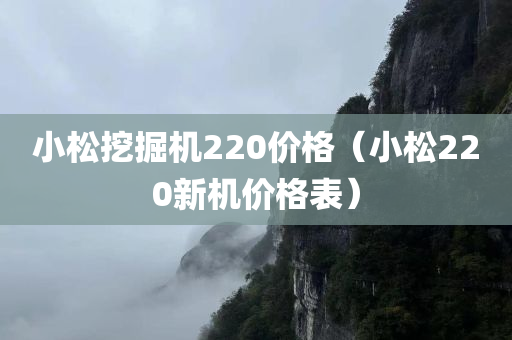 小松挖掘机220价格（小松220新机价格表）