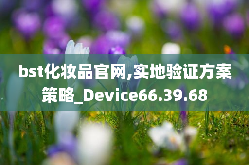 bst化妆品官网,实地验证方案策略_Device66.39.68