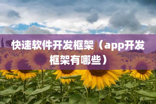 快速软件开发框架（app开发框架有哪些）