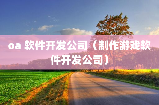 oa 软件开发公司（制作游戏软件开发公司）