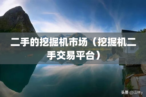 二手的挖掘机市场（挖掘机二手交易平台）