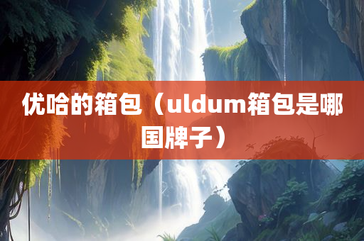 优哈的箱包（uldum箱包是哪国牌子）