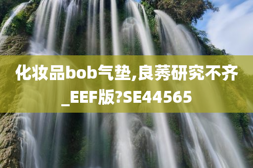 化妆品bob气垫,良莠研究不齐_EEF版?SE44565