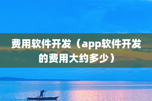 费用软件开发（app软件开发的费用大约多少）