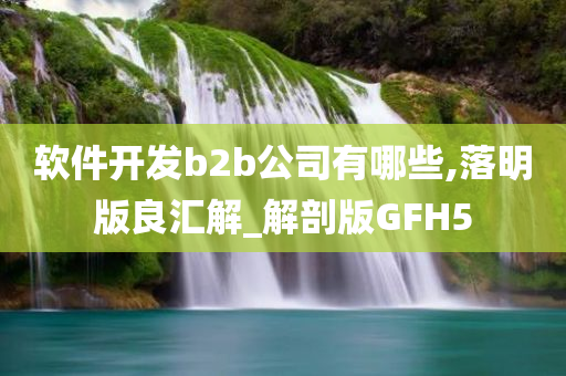 软件开发b2b公司有哪些,落明版良汇解_解剖版GFH5