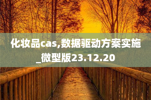 化妆品cas,数据驱动方案实施_微型版23.12.20