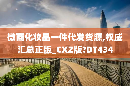 微商化妆品一件代发货源,权威汇总正版_CXZ版?DT434