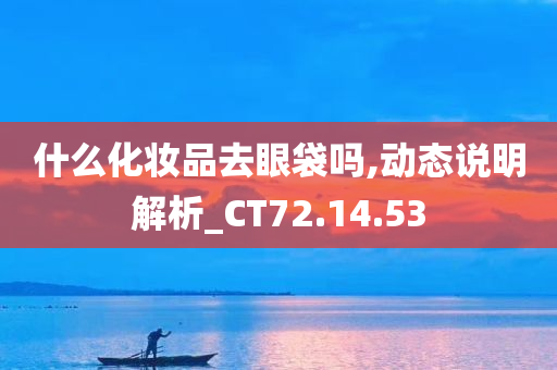 什么化妆品去眼袋吗,动态说明解析_CT72.14.53