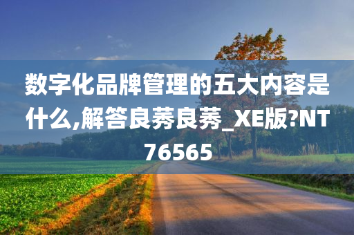 数字化品牌管理的五大内容是什么,解答良莠良莠_XE版?NT76565