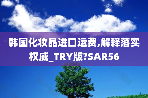 韩国化妆品进口运费,解释落实权威_TRY版?SAR56