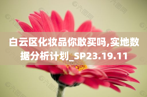 白云区化妆品你敢买吗,实地数据分析计划_SP23.19.11