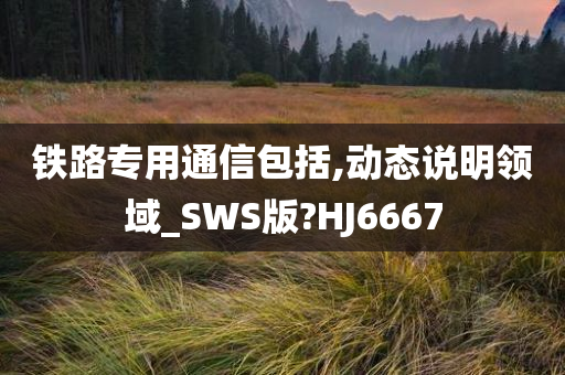 铁路专用通信包括,动态说明领域_SWS版?HJ6667