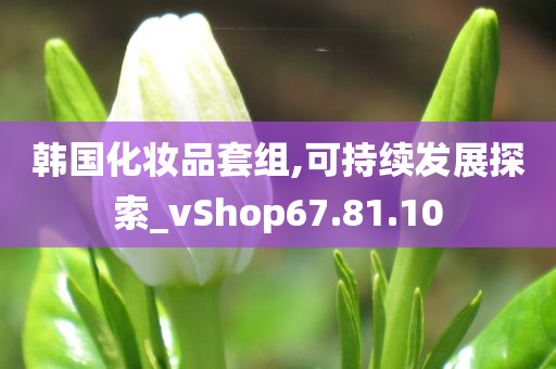 韩国化妆品套组,可持续发展探索_vShop67.81.10