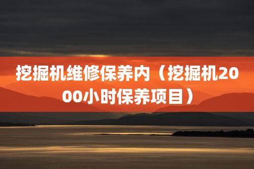 挖掘机维修保养内（挖掘机2000小时保养项目）