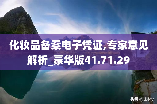 化妆品备案电子凭证,专家意见解析_豪华版41.71.29