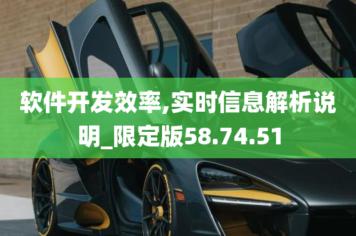 软件开发效率,实时信息解析说明_限定版58.74.51