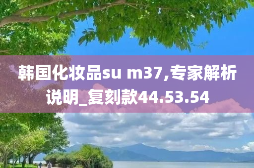 韩国化妆品su m37,专家解析说明_复刻款44.53.54