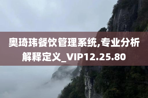 奥琦玮餐饮管理系统,专业分析解释定义_VIP12.25.80