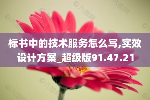 标书中的技术服务怎么写,实效设计方案_超级版91.47.21