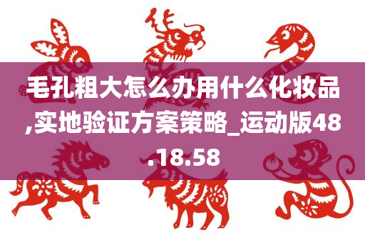 毛孔粗大怎么办用什么化妆品,实地验证方案策略_运动版48.18.58