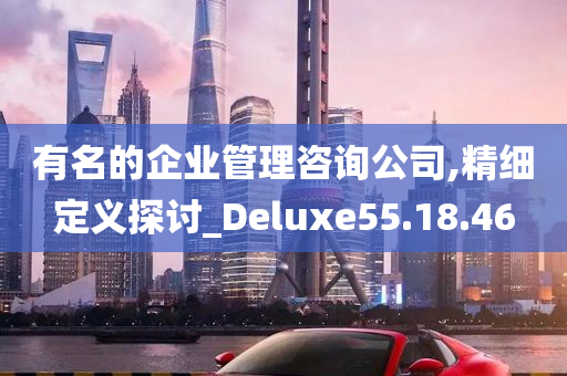 有名的企业管理咨询公司,精细定义探讨_Deluxe55.18.46