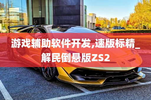 游戏辅助软件开发,速版标精_解民倒悬版ZS2