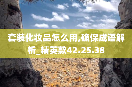 套装化妆品怎么用,确保成语解析_精英款42.25.38