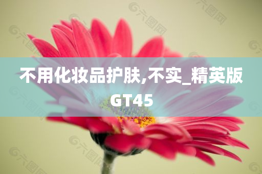 不用化妆品护肤,不实_精英版GT45