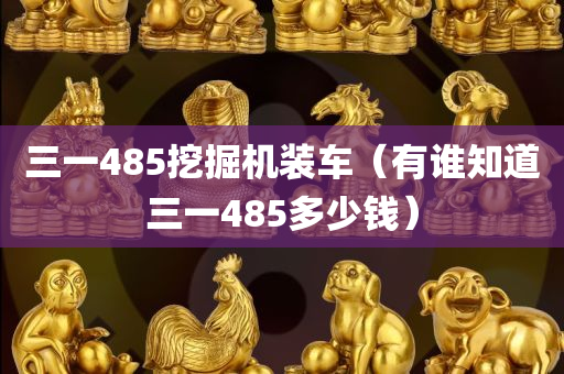 三一485挖掘机装车（有谁知道三一485多少钱）