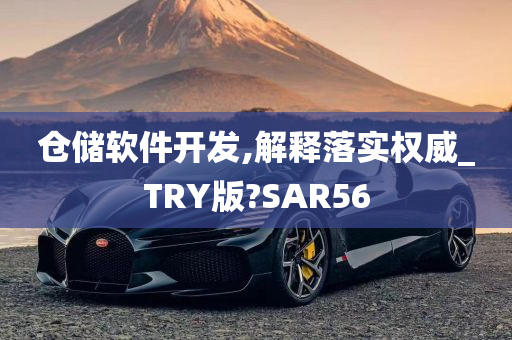 仓储软件开发,解释落实权威_TRY版?SAR56