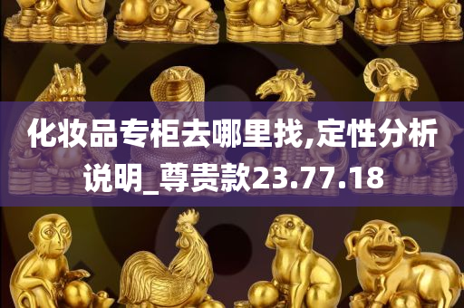 化妆品专柜去哪里找,定性分析说明_尊贵款23.77.18