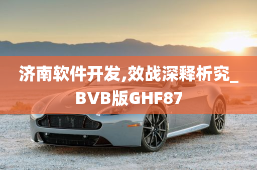 济南软件开发,效战深释析究_BVB版GHF87