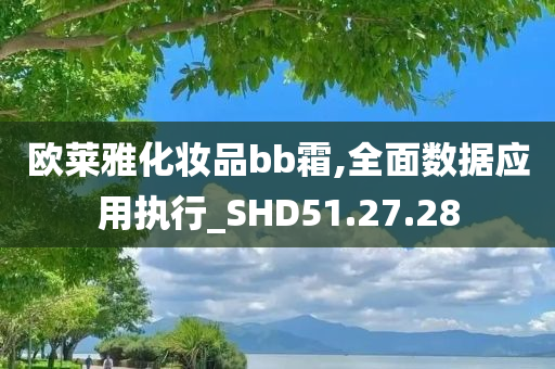 欧莱雅化妆品bb霜,全面数据应用执行_SHD51.27.28