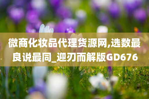 微商化妆品代理货源网,选数最良说最同_迎刃而解版GD676