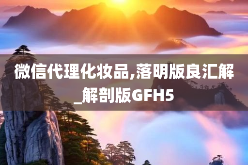 微信代理化妆品,落明版良汇解_解剖版GFH5