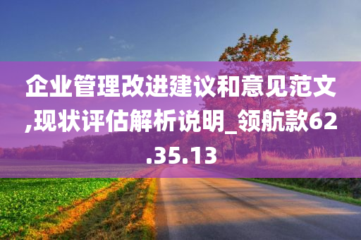 企业管理改进建议和意见范文,现状评估解析说明_领航款62.35.13