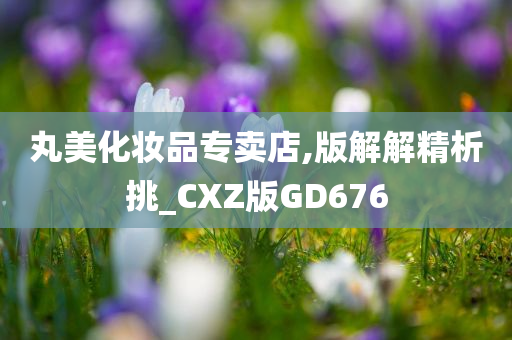 丸美化妆品专卖店,版解解精析挑_CXZ版GD676