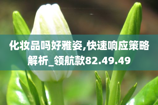 化妆品吗好雅姿,快速响应策略解析_领航款82.49.49