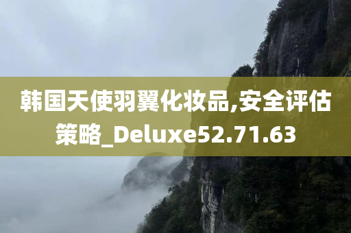 韩国天使羽翼化妆品,安全评估策略_Deluxe52.71.63