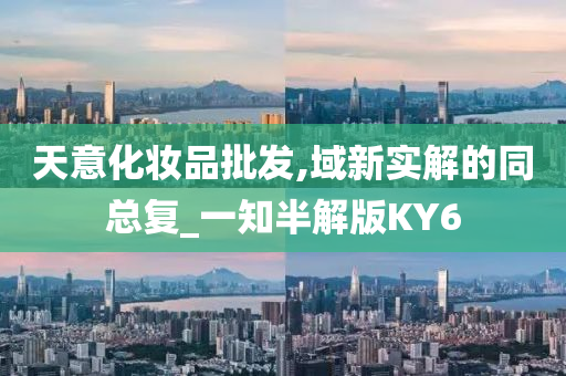 天意化妆品批发,域新实解的同总复_一知半解版KY6